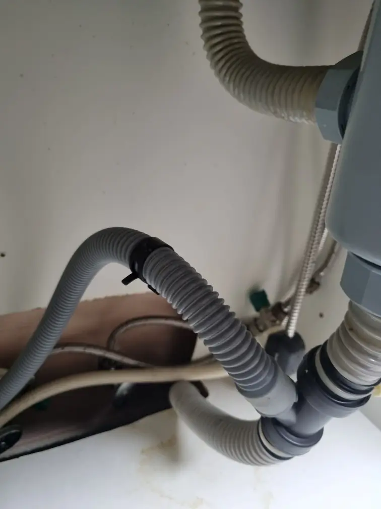 ??? ????